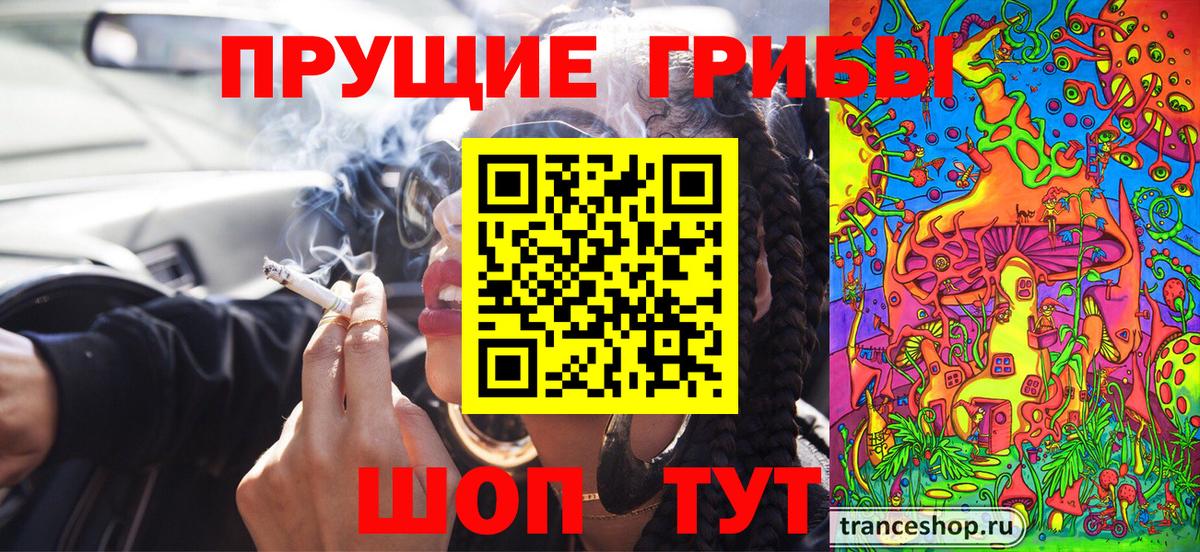 Курган  закладки  Вход с VPN  Псилоцибиновые грибы мухоморы 